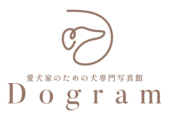 愛犬家のための犬専用写真館｜Dogram