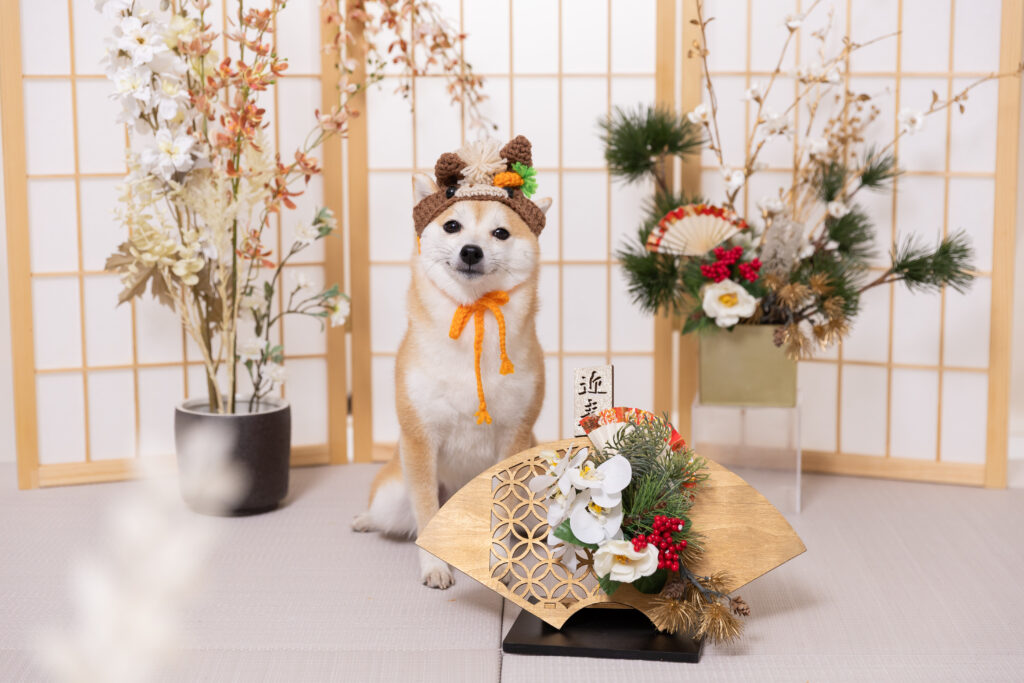 お正月2026ブースで撮影する犬