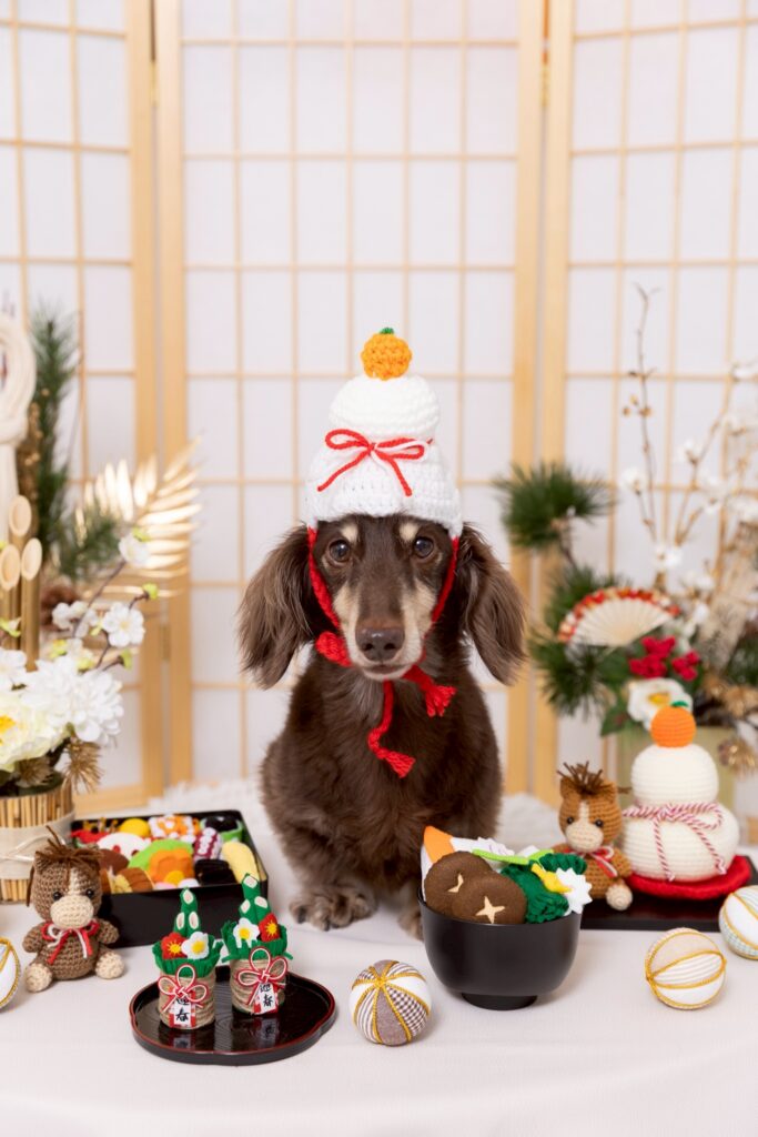 New Year 2026ブースで撮影する犬