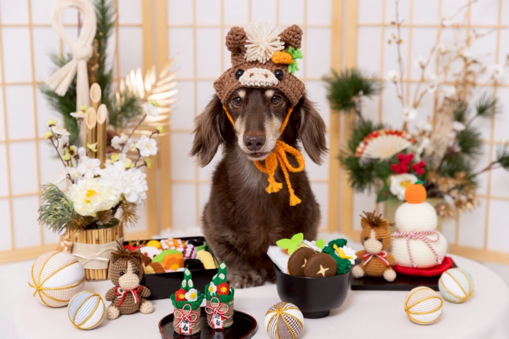 New Year2026ブースで撮影する犬