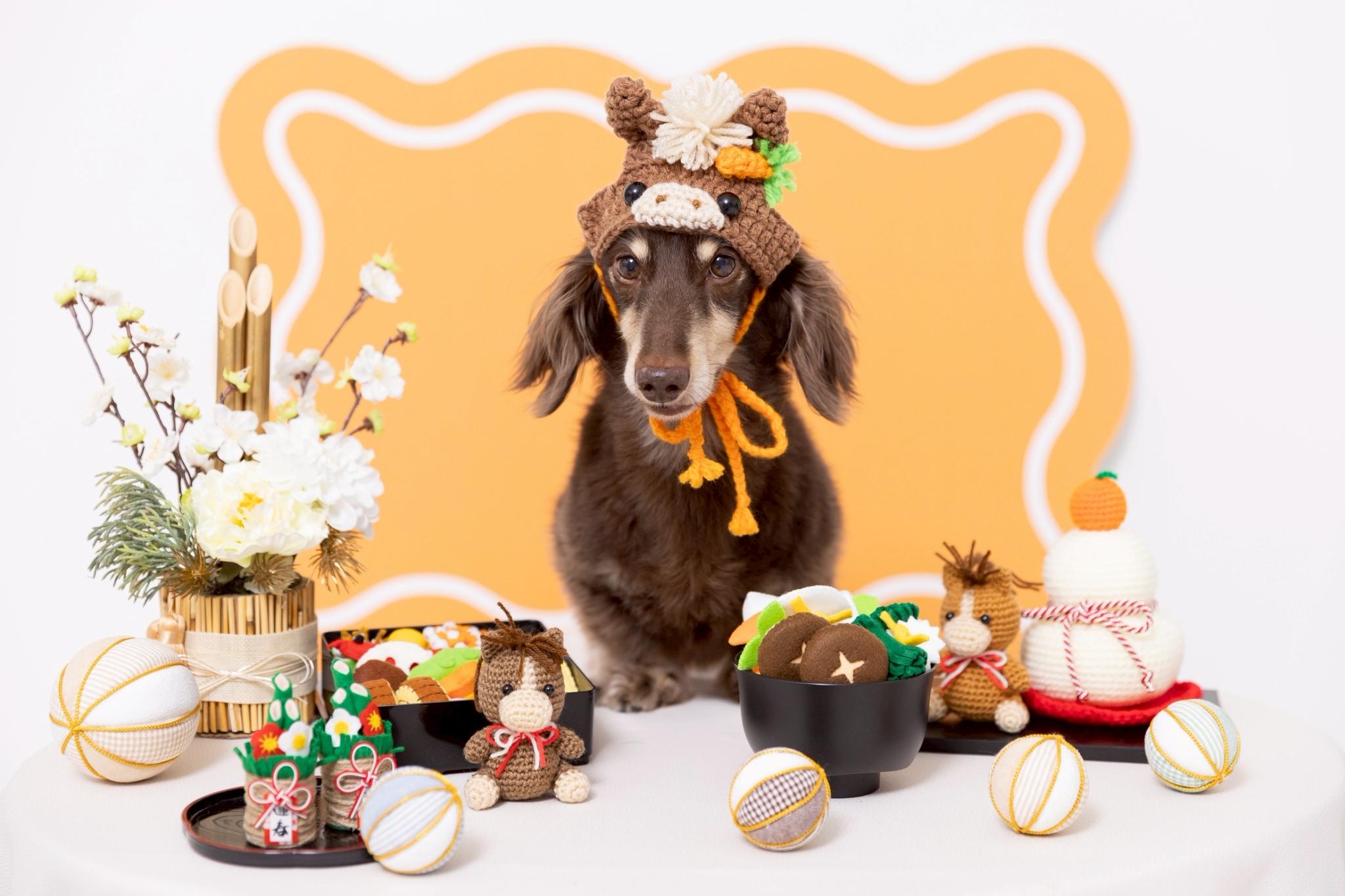 New Year2026ブースで撮影する犬