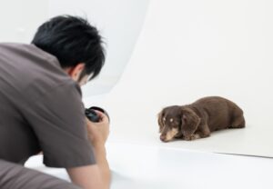 スタジオで撮影している様子