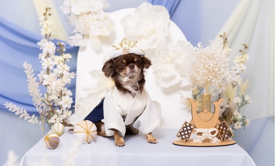 子どもの日ブースで写真を撮る犬